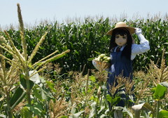 2013_0711_132016AAa.jpg