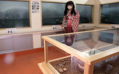 2013_0717_161256AAa.jpg