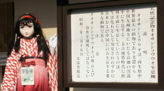 2013_0717_162756AAa.jpg