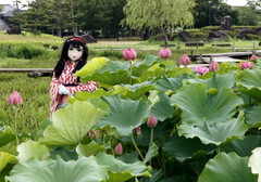 2013_0718_103626AAa.jpg