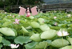 2013_0718_104700AAa.jpg