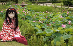 2013_0718_105104AAa.jpg