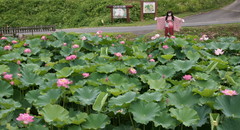 2013_0718_121834AAa.jpg
