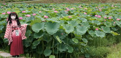 2013_0718_122148AAa.jpg