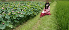 2013_0718_122630AAa.jpg