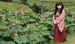 2013_0718_123050AAa.jpg