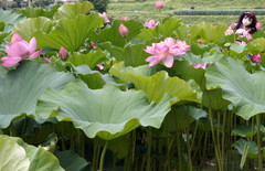 2013_0718_123352AAa.jpg