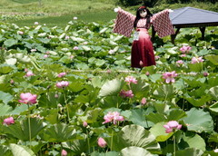 2013_0718_125008AAa.jpg