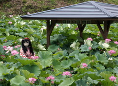 2013_0718_125452AAa.jpg