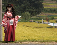 2013_0913_140100AAa.jpg