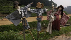 2013_0913_142918AAa.jpg