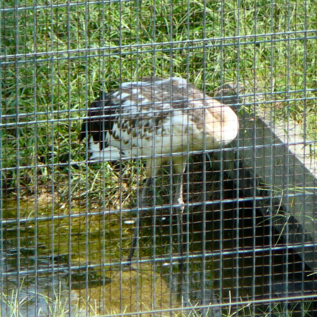 2013_0922_131434AAa.jpg