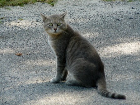 2013_0922_133652AAa.jpg