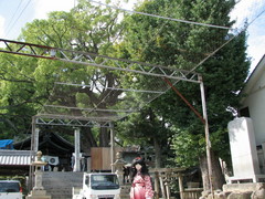 2013_0929_140138AAa.jpg