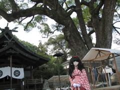 2013_0929_145217AAa.jpg