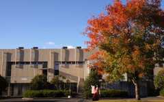 2013_1113_152326AAa.jpg