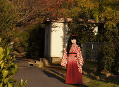 2013_1113_160202AAa.jpg