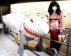 2013_1201_121846AAa.jpg