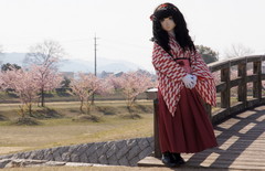 2014_0324_145158AAa.jpg
