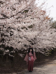 2014_0407_101909AAa.jpg