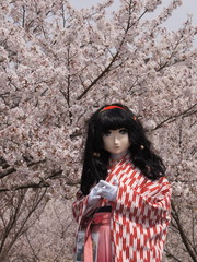 2014_0407_111320AAa.jpg