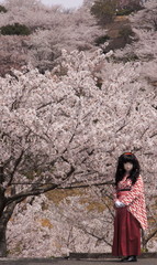 2014_0407_111536AAa.jpg