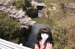 2014_0408_114920AAa.jpg