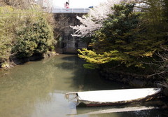 2014_0408_115346AAa.jpg