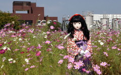 2014_0929_125950AAa.jpg