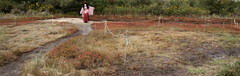 2014_1023_143824AAa.jpg
