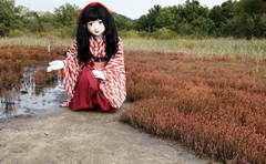 2014_1023_145210AAa.jpg
