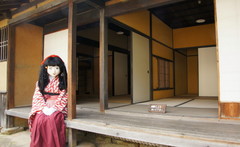 2014_1026_113854AAa.jpg