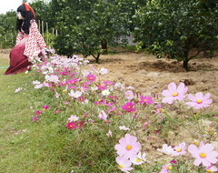 2014_1027_111048AAa.jpg