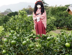 2014_1027_111340AAa.jpg