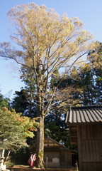 2014_1105_133155AAa.jpg