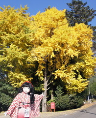 2014_1105_134726AAa.jpg
