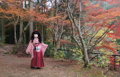 2014_1105_165658AAa.jpg