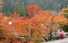 2014_1107_141906AAa.jpg