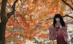 2014_1107_142155AAa.jpg