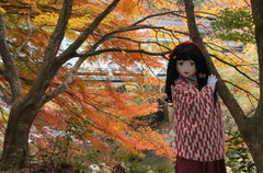 2014_1107_143512AAa.jpg