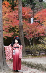 2014_1107_144912AAa.jpg