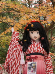 2014_1107_150854AAa.jpg