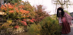 2014_1110_141430AAa.jpg
