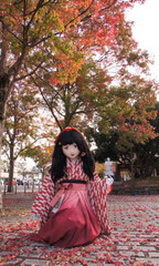 2014_1110_143128AAa.jpg