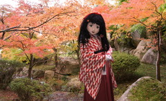 2014_1110_155804AAa.jpg