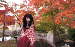 2014_1110_161028AAa.jpg