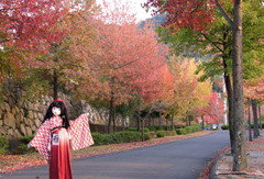 2014_1110_163103AAa.jpg
