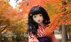 2014_1118_120918AAa.jpg