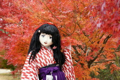 2014_1118_122608AAa.jpg
