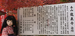 2014_1118_132314AAa.jpg